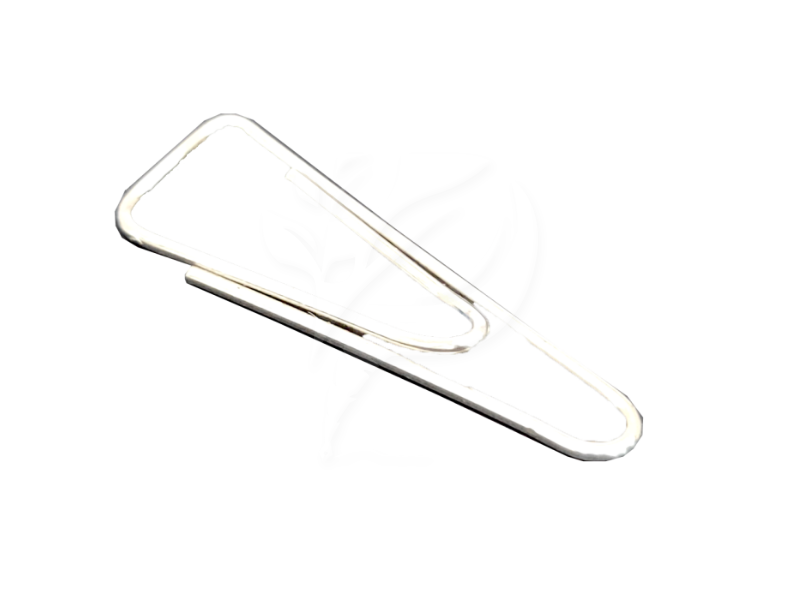 TRIANGLE CLIP